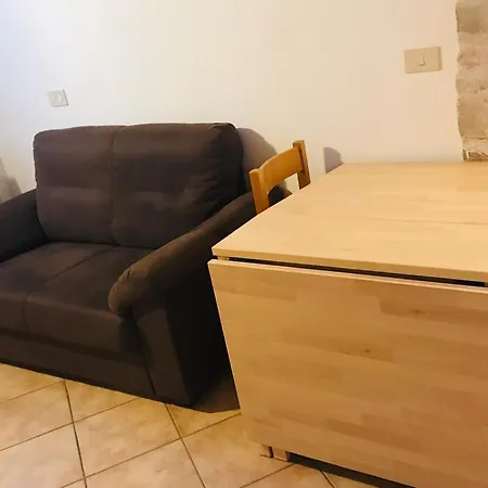 Chicco Di Senape *