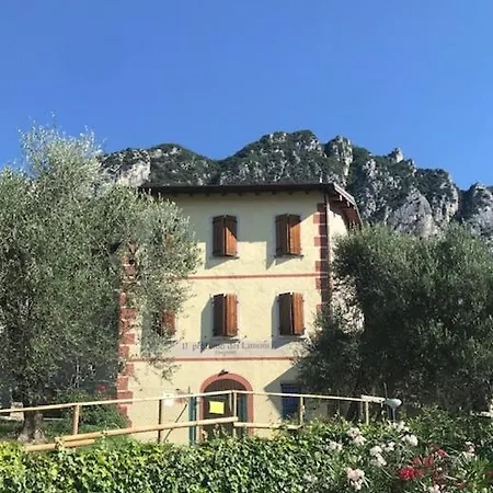 Chicco Di Senape *